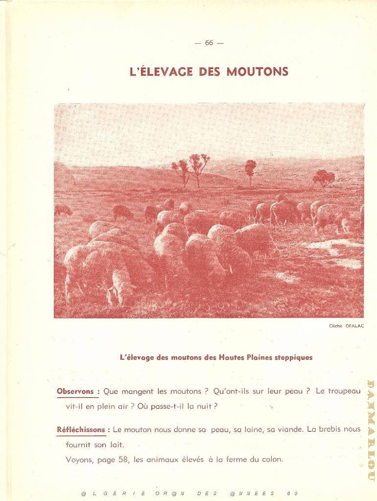 GEO CE1 CE2 DES ANNEES 50 PAGE (66).jpg
